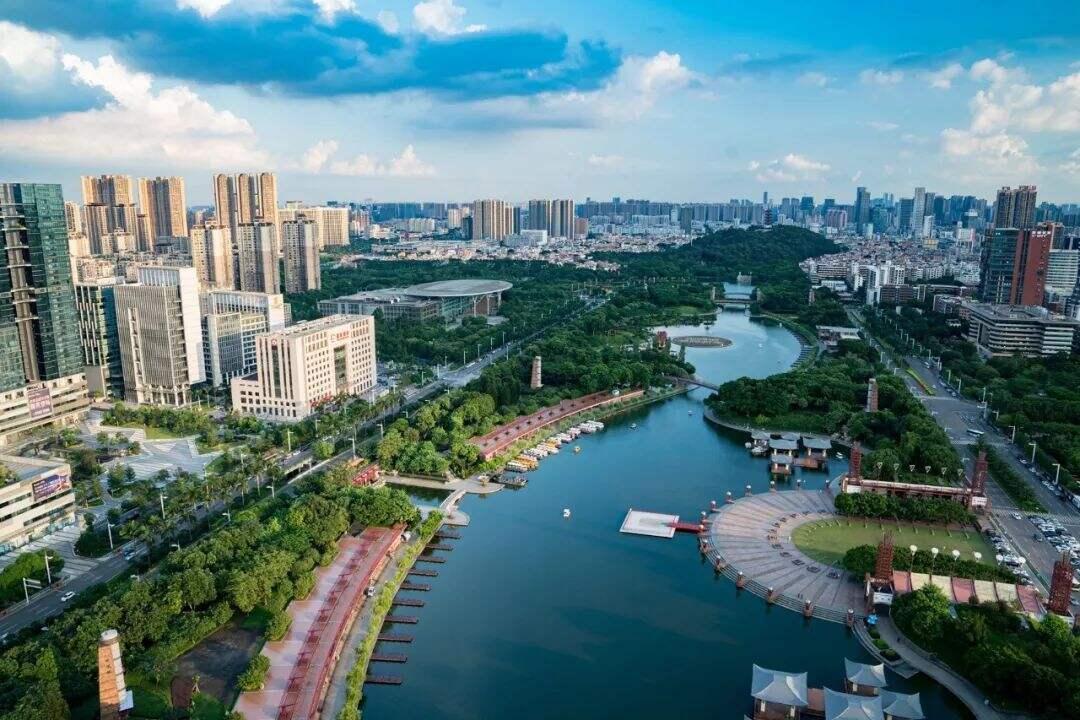 2025新澳门精准免费大全168，全面释义、专家全面认真解释与落实